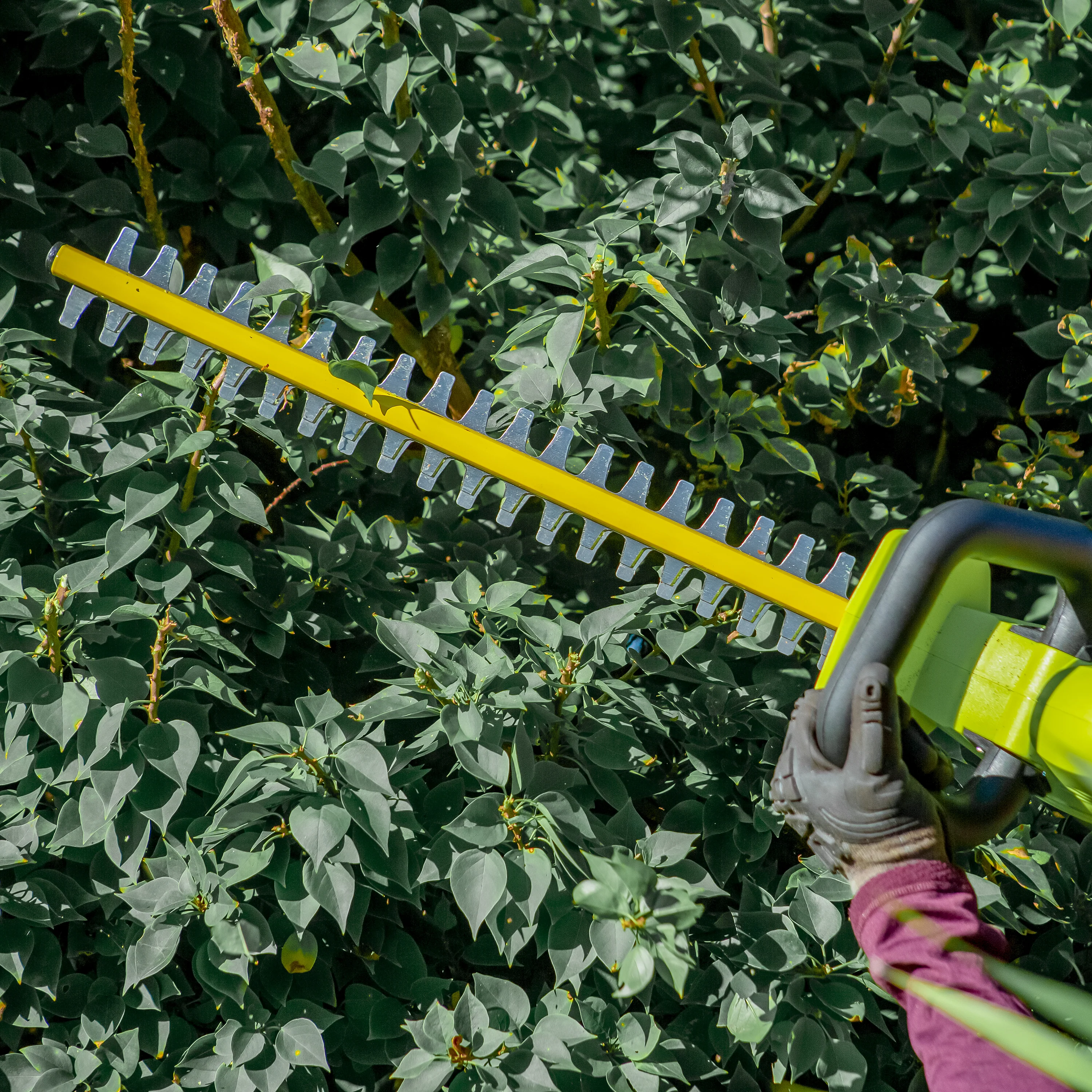Sun Joe 24V-HT22-LTE 24-Volt* IONMAX Cordless Hedge Trimmer | 22-inch | W/ 2.0-Ah Battery + Charger - Image 12
